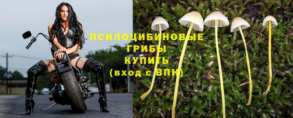 марихуана Елабуга