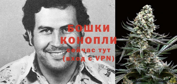 прущие грибы Елизово